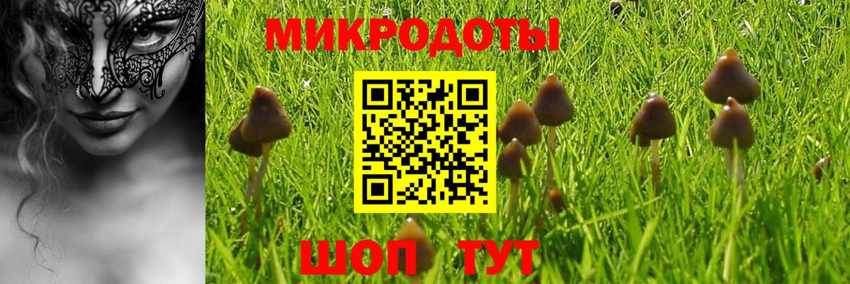 Галлюциногенные грибы MAGIC MUSHROOMS  Вход с VPN  Димитровград 