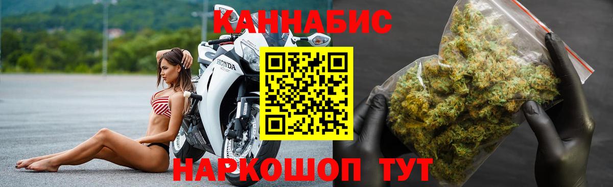 МАРИХУАНА сатива Димитровград
